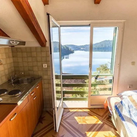 Apartment Pansion Mali Raj