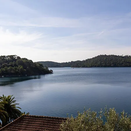 Pansion Mali Raj 古维达里