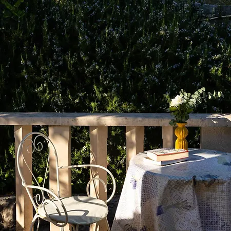 公寓 Pansion Mali Raj *