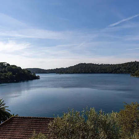 Pansion Mali Raj 古维达里