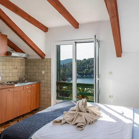 公寓 Pansion Mali Raj *