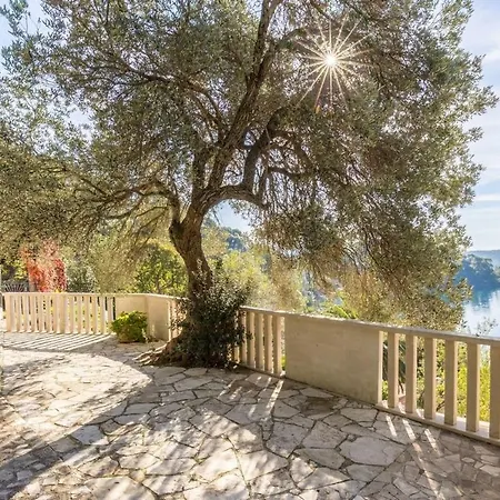 Pansion Mali Raj 古维达里