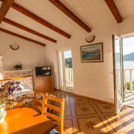 Διαμέρισμα Pansion Mali Raj