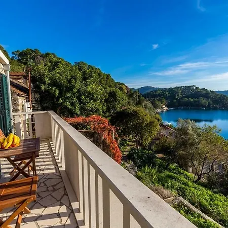 Pansion Mali Raj 古维达里