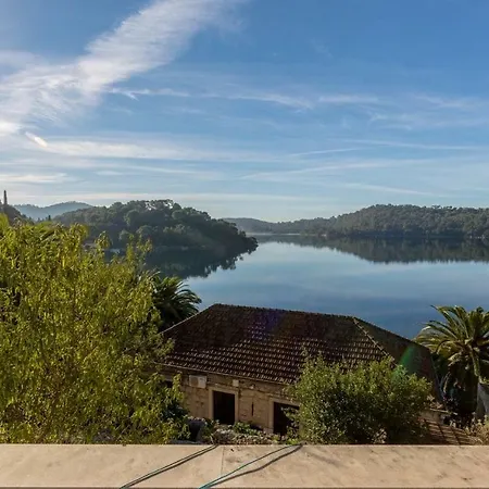 Pansion Mali Raj 古维达里