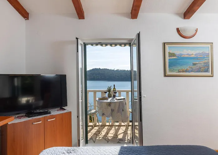 Pansion Mali Raj Goveđari